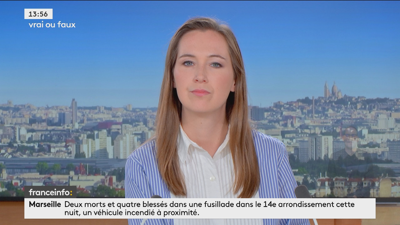 Le 14h-17h (1ère partie) (Franceinfo)_2024_09_29_12_50_08.ts_snapshot_07.11.850