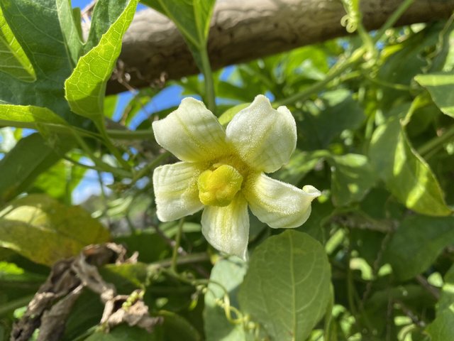 3F3232C8-22B1-4429-AD26-CC3901279A51