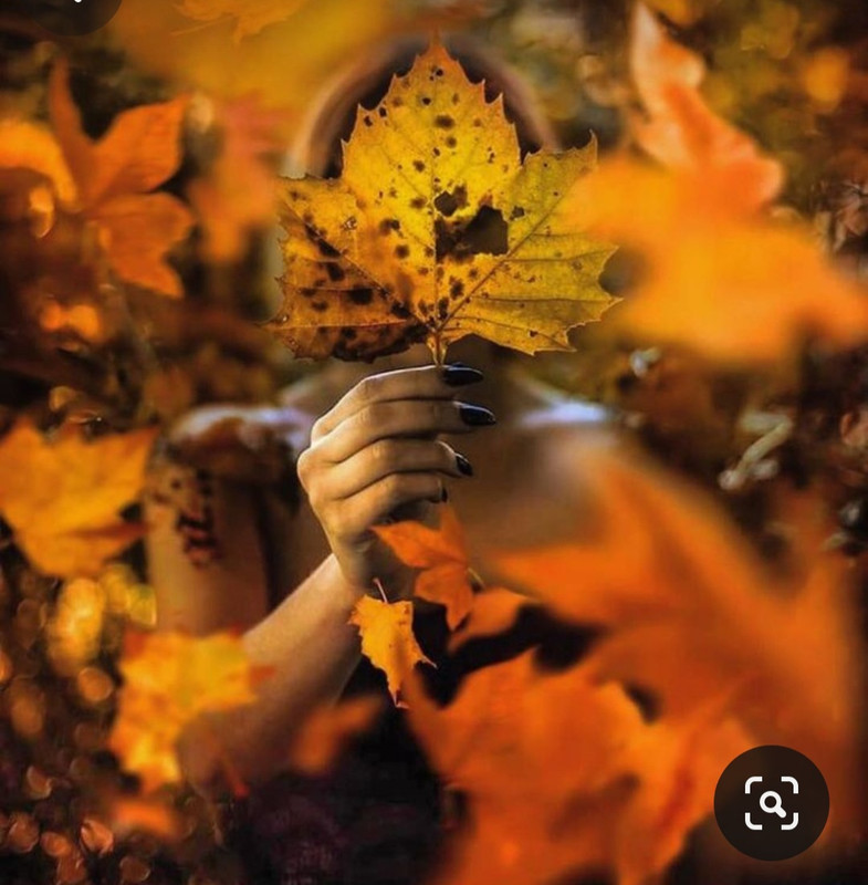 Screenshot_20231127_220829_Pinterest