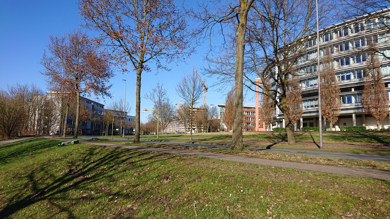 DSC 3531 — Postimages