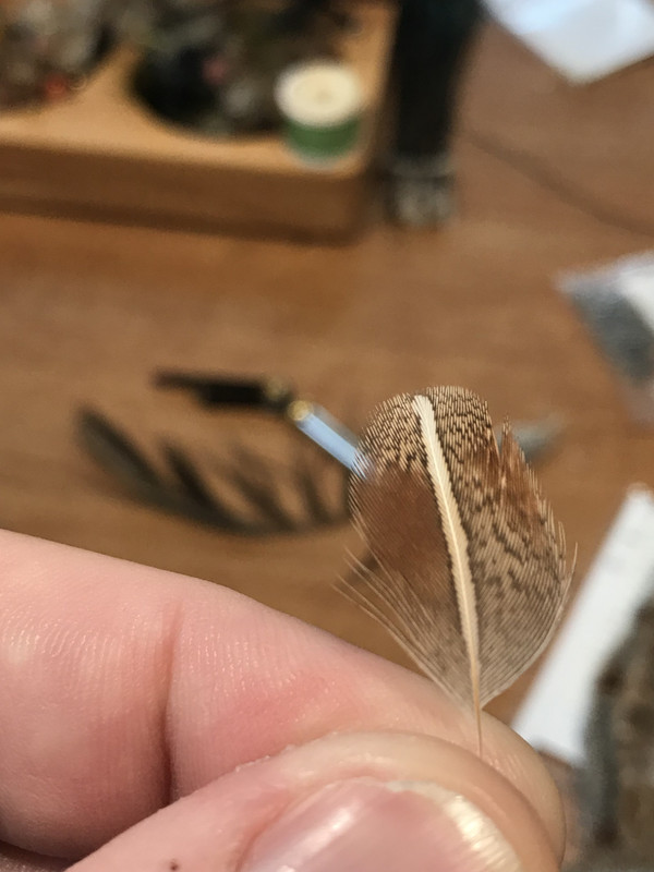 CB0CCD9A-1938-4BE4-8904-DE52D713836F