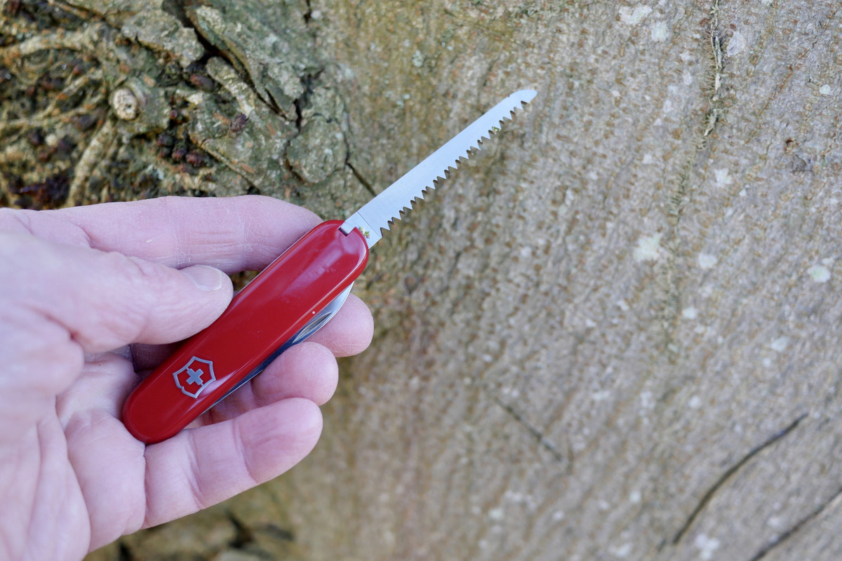 06A1698F-EA11-4F07-B3DA-8BCE86C79614