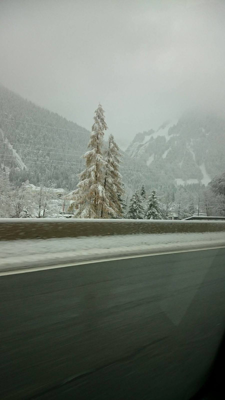 15145223_1810207509249252_1039793680_o