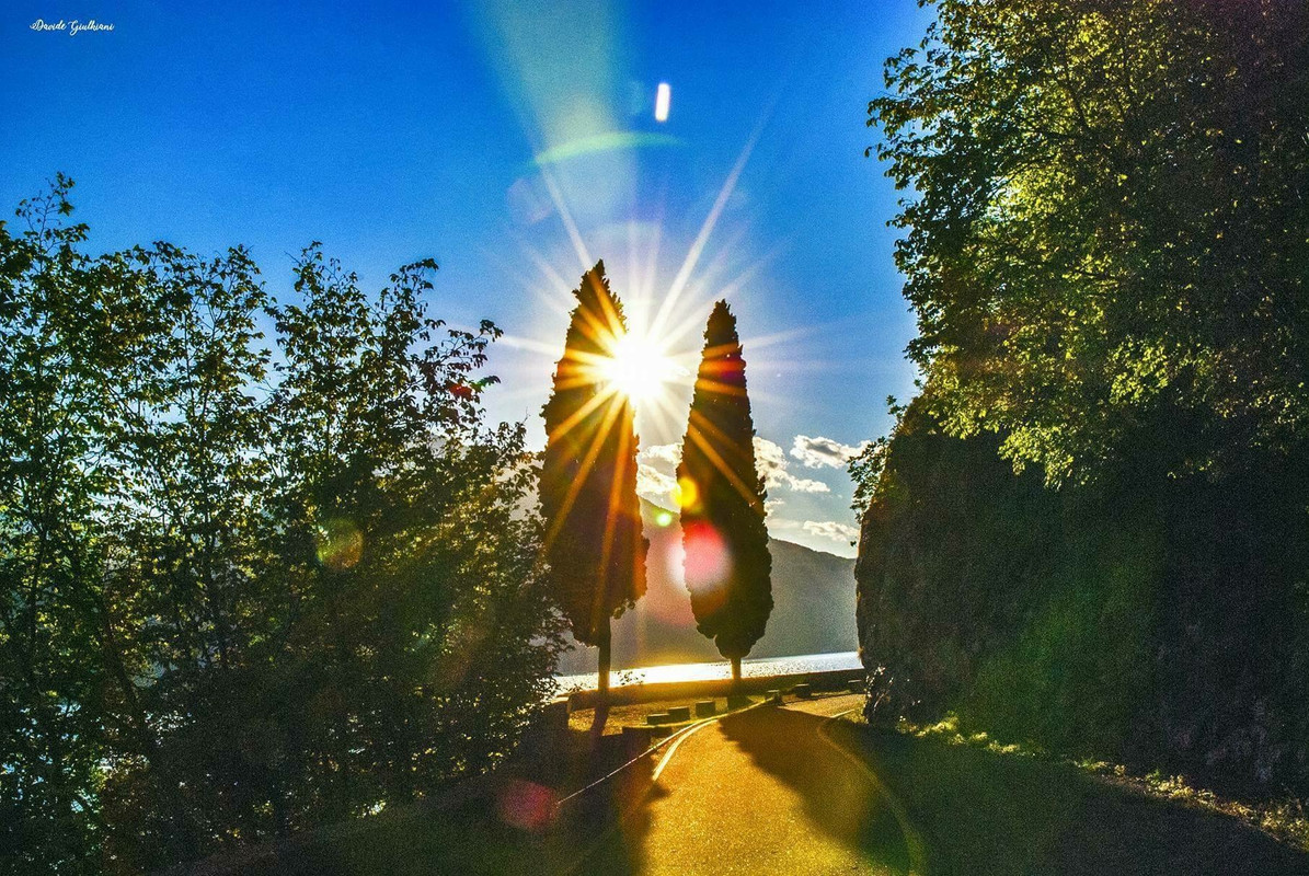 37CC248C-7337-4CBA-8322-7B2E61FDEDDB