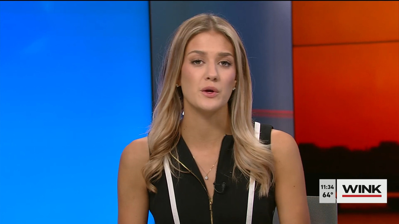 03.19 - 15.30.00 - WINK NEWS at 11 30am  ᴺᵉʷ. Midday news..ts_snapshot_10.10.976