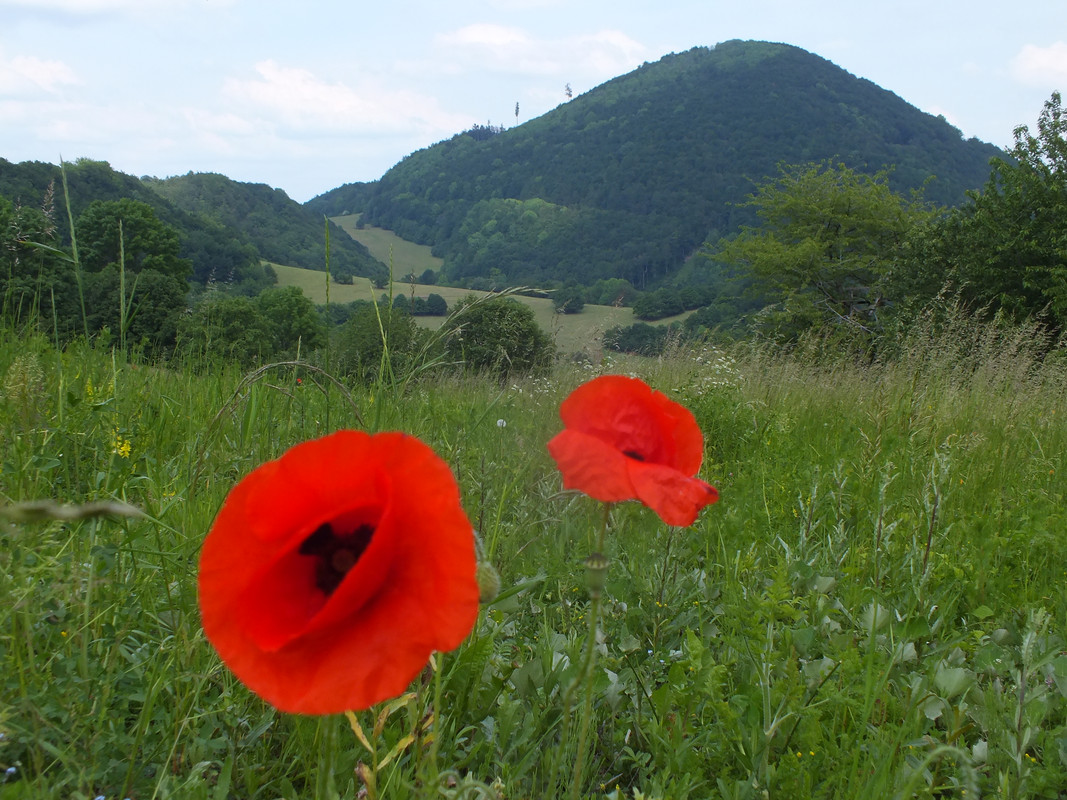2019_0609STRAŻOWSKIE0068