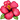 https://i.postimg.cc/pd4SdJsn/14hibiscus-1f33a.png