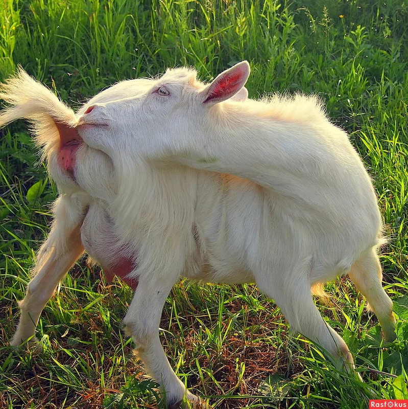 1AD6362B-A259-4AB7-AD85-400B3B47EFEF