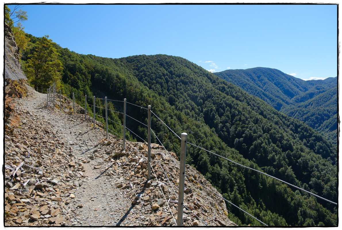 The Old Ghost Road (marzo 2024) - Escapadas y rutas por la Nueva Zelanda menos conocida (13)