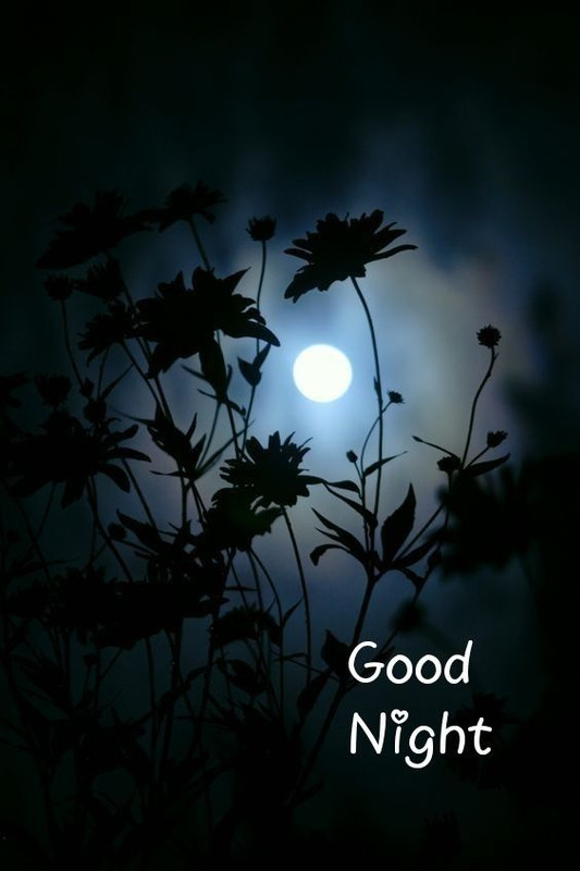 download - 2025-10-11T072352.708