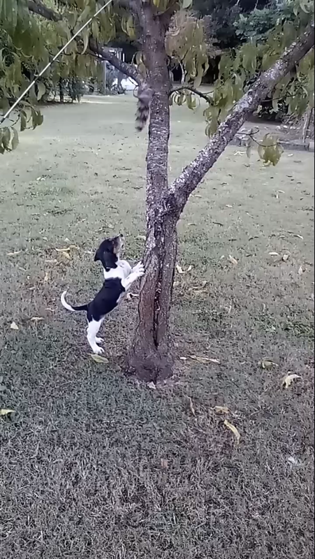 795250EE-E0D2-4E7B-B044-B8B0F96F93B5