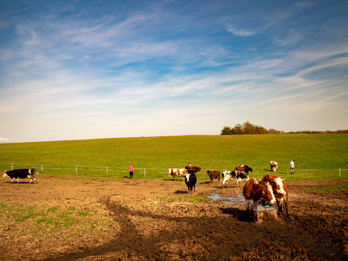 Medzinárodnou spoluprácou podporíme sociálne a inkluzívne poľnohospodárstvo