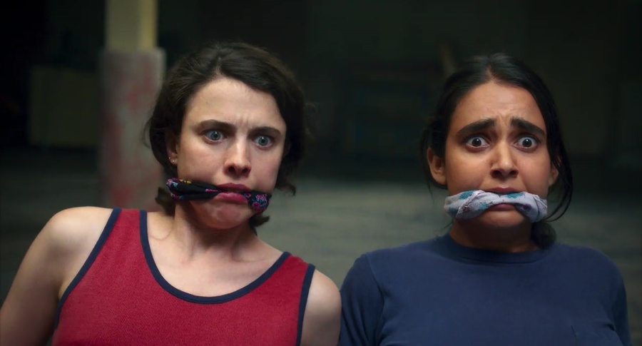 Drive-Away Dolls 2024 BluRay [Hindi + English] 480p, 720p ESub Screenshot