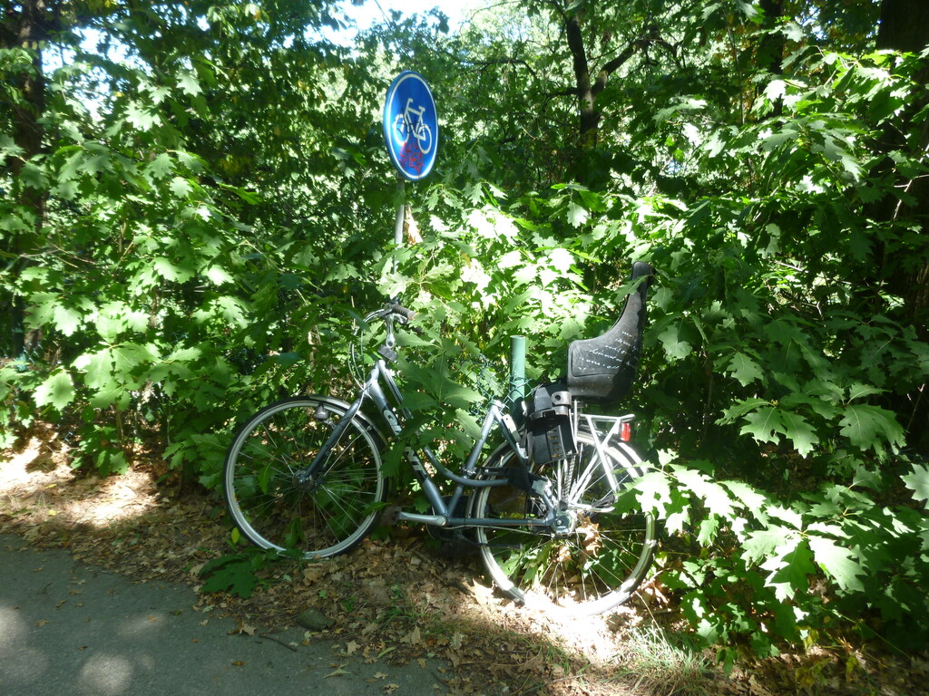 [Afbeelding: P1030697.jpg]