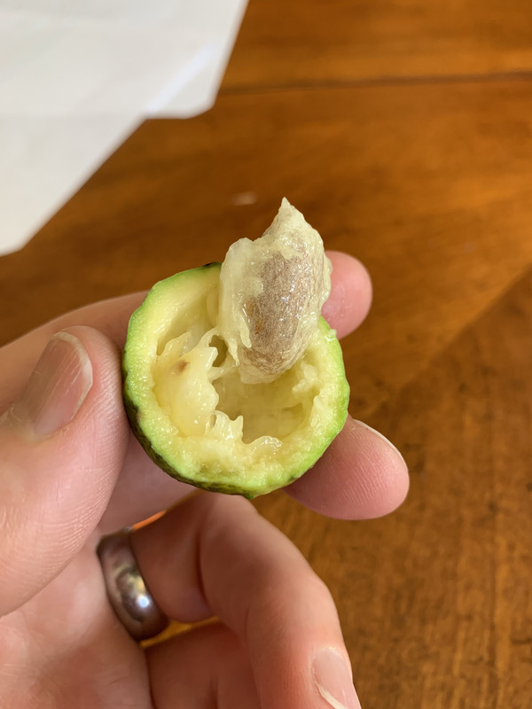 68974357-E9C5-4C91-8365-7754A62F1DF1