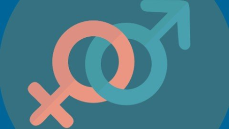 Fundamentals of Gender Equality