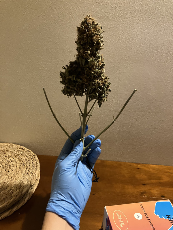 0AFB1093-C9A1-4395-B259-FA56CFCF6E25