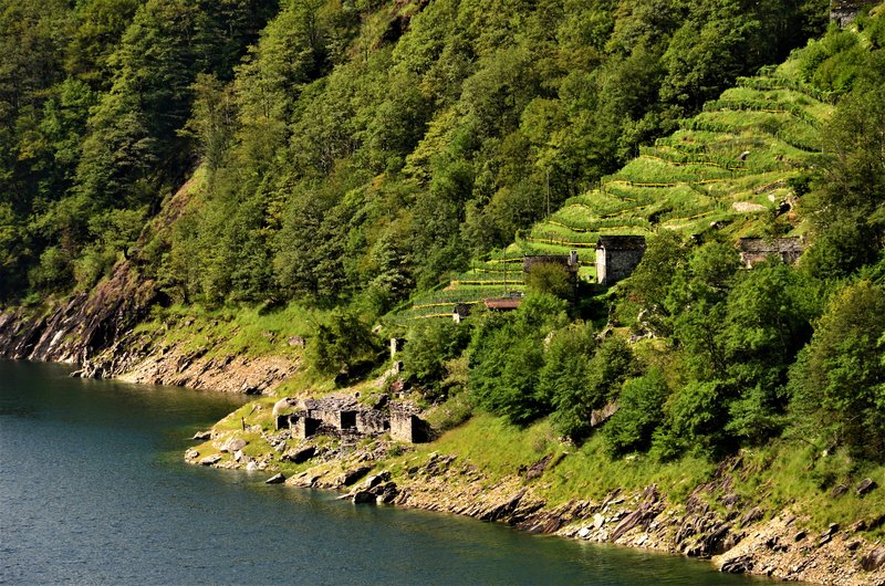 CORIPPO-8-9-2019 - Suiza y sus pueblos-2019 (6)