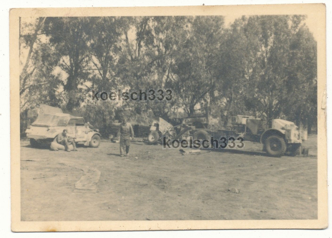 Foto Afrika Korps VW Kübelwagen PKW Morris Comme