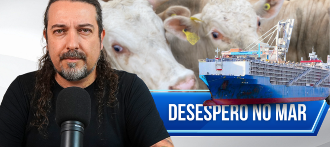 ONG flagra navio partindo com 26 mil animais brasileiros para serem mortos na Turquia