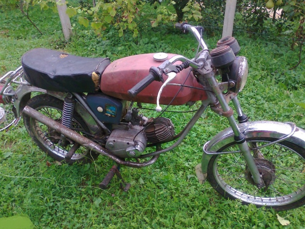 slika-213548-53ec729c6f27b-velika