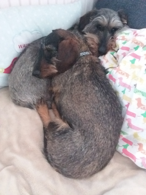 [Image: 20220401-150059.jpg]