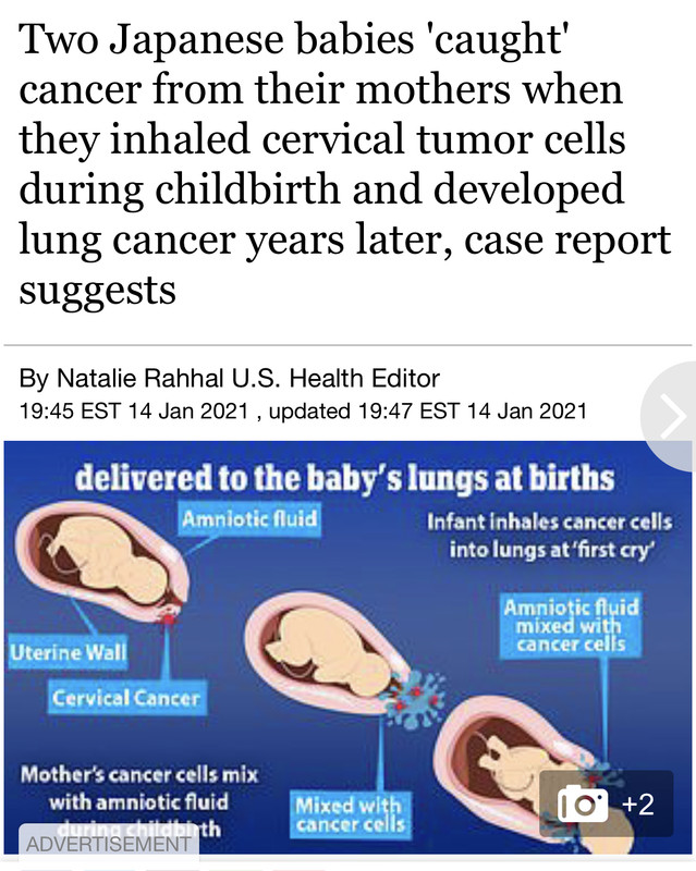 76950301-2-CFB-44-C6-BC16-CEDC023681-E3.