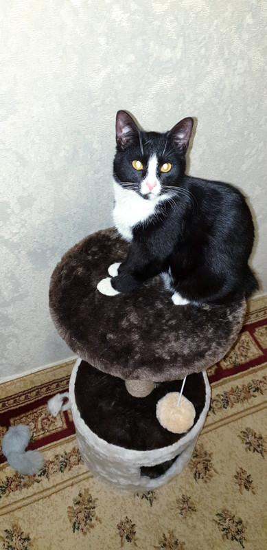 IMG-a4df9dcae70114d82ede9df3fe2add69-V