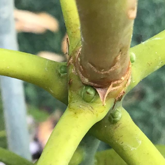 E3DB5A78-6C29-402E-B634-2C806C3A3DBB