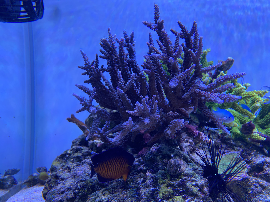 F96AD18A-57F0-43FF-8CBF-0B271AAD4477