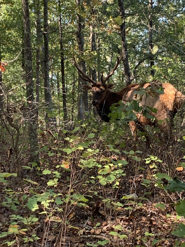 DE6592B9-E01C-4E91-A2B1-EDD49FF417BC