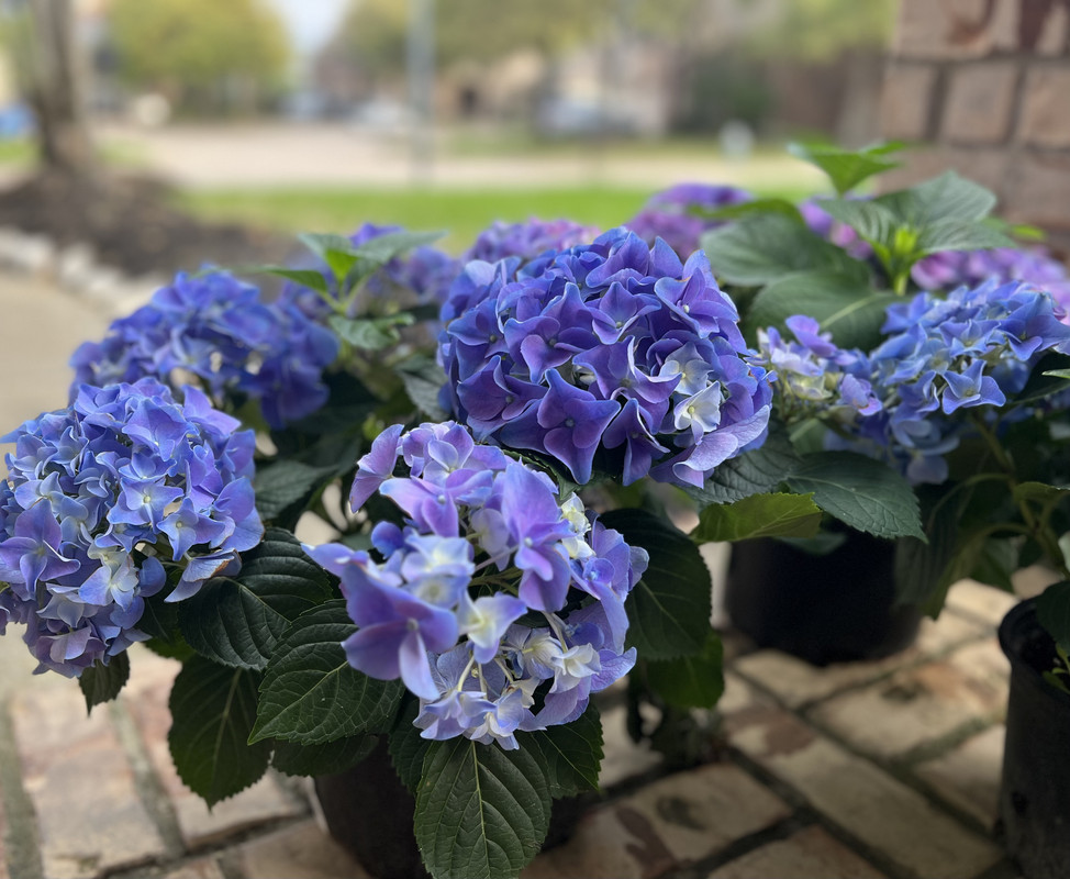 894AA401-1538-45BA-83F5-4C65653AAF96