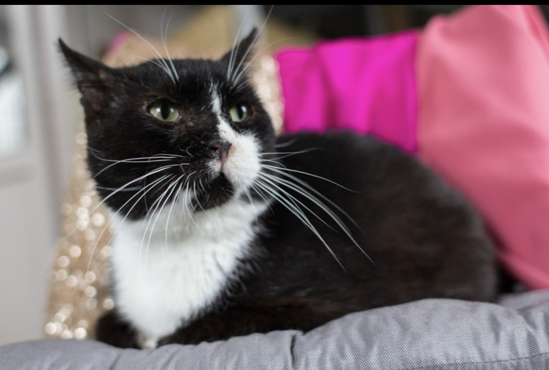 5BF26416-32E5-4477-A629-15F9AE6ACDF6