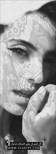 ���� ���� ������ �� ���� ������