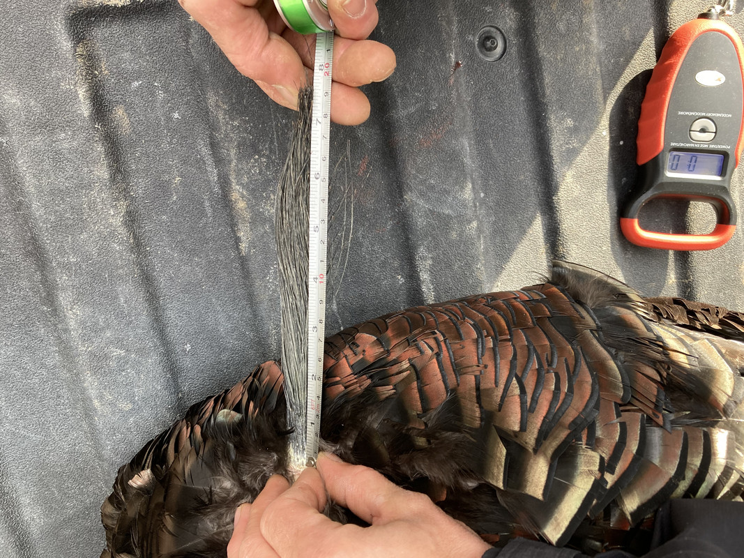 07FCA60B-D141-4D5B-819E-1CA50647C9C6