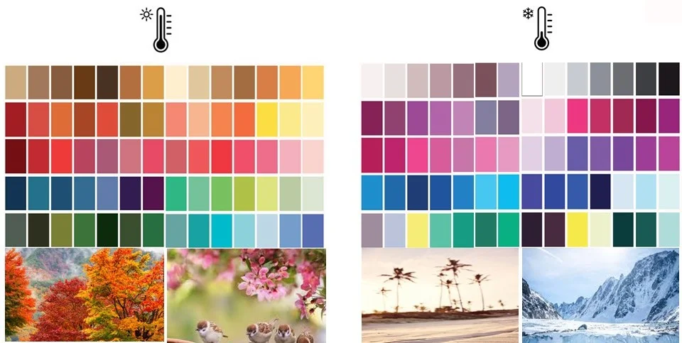 Nuancier comparatif des couleurs de colorimétrie. À gauche, la palette des Saisons Chaudes (Printemps et Automne) avec un sous-ton jaune/orangé. À droite, la palette des Saisons Froides (Été et Hiver) avec un sous-ton bleu/glacé