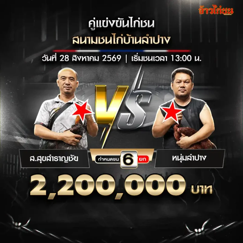 ส.สุขสำราญชัย พบ หนุ่มลำปาง สนามชนไก่บ้านใหม่ลำปาง วันที่ 28 สิงหาคม 2569