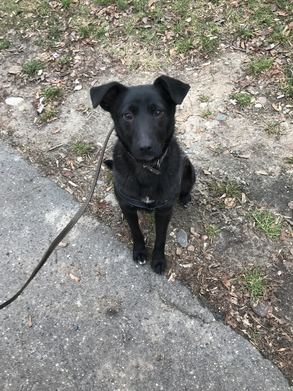 41877AC8-EA0A-481D-AF38-5EC7E5A07CEE