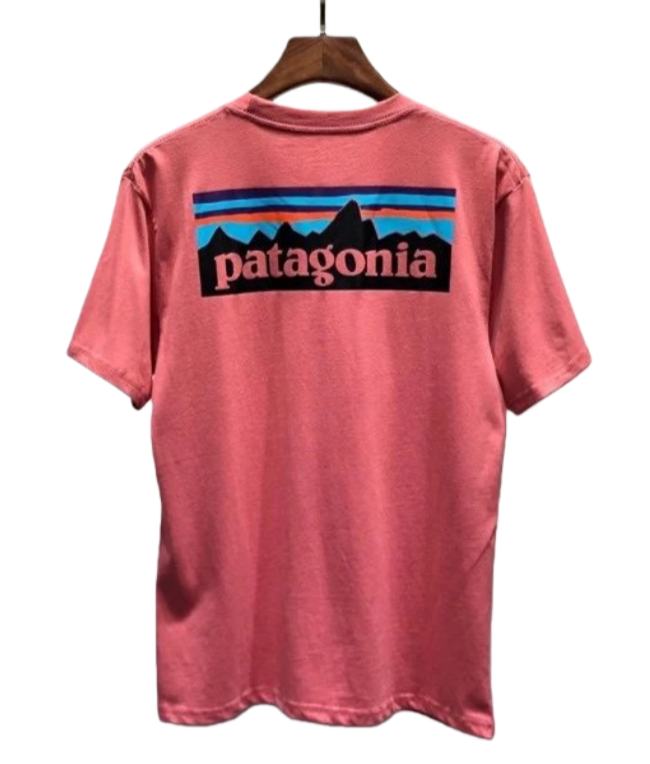 Patagonia Tee 35+ colorways [Premium Quality]