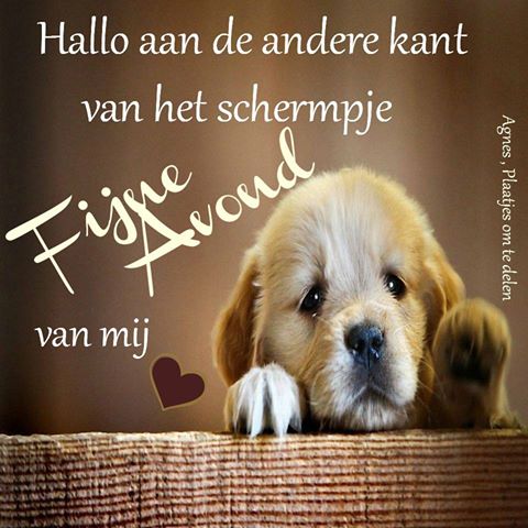 animaatjes-fijne-avond-facebook-plaatjes-hallo-aan-de-andere-kant-van-het-schermpje-fijne-avond-van