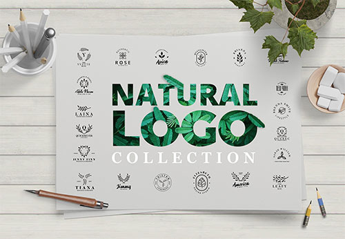 Minimal Leaves Logo Collection