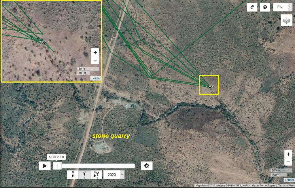 2020-11-13-timmu detail