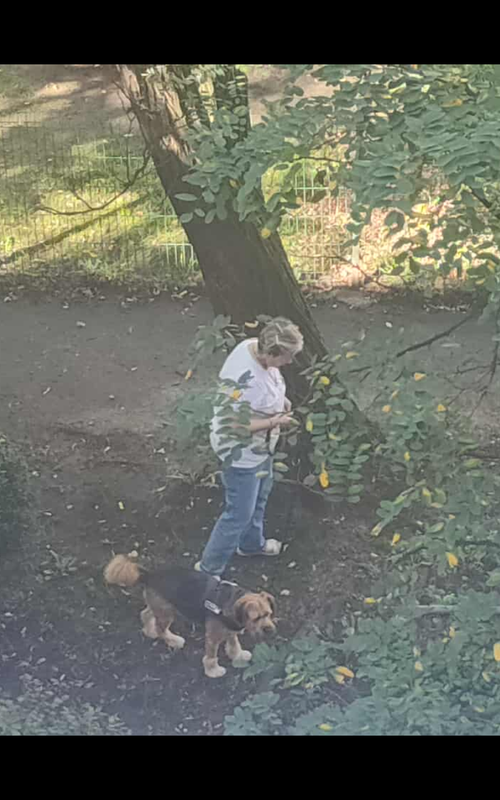 Screenshot_20250920-151435