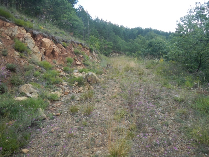 Zlatibor juli 2013 (59)