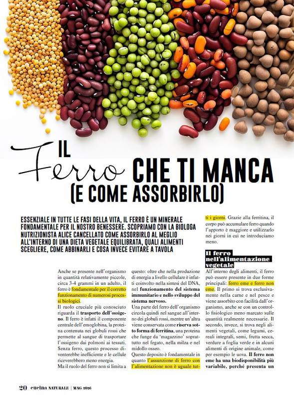 Cucina Nat Mag 2026 (3)