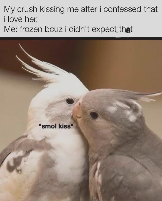 the background blur
