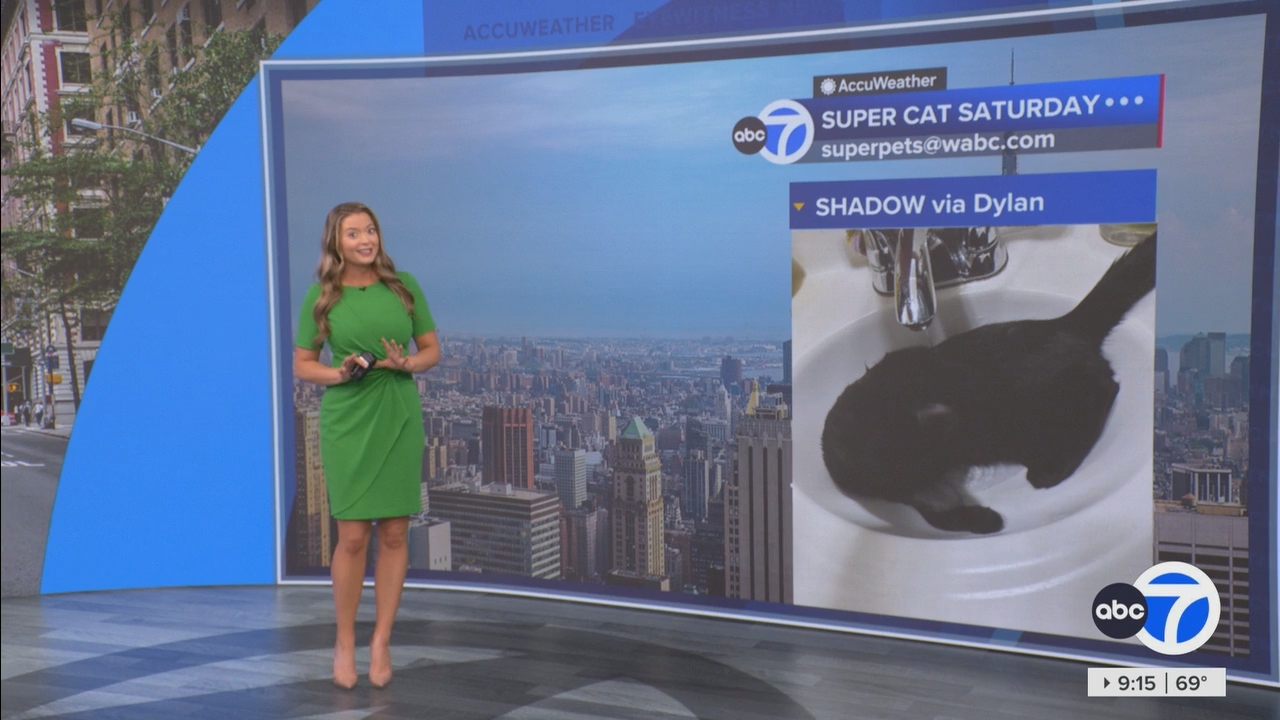 Eyewitness News This Morning_20250503_14001500.ts_snapshot_16.19.453