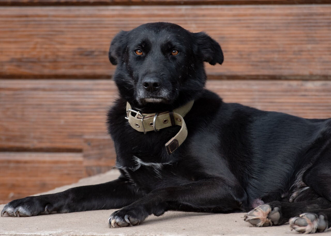 IMG-7fcd19c18732886699331e480693d451-V