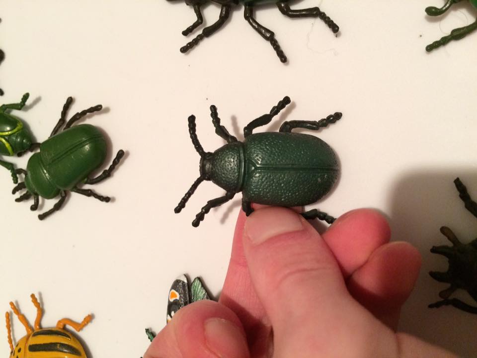 20258204_834793196679535_3218992540212373584_n