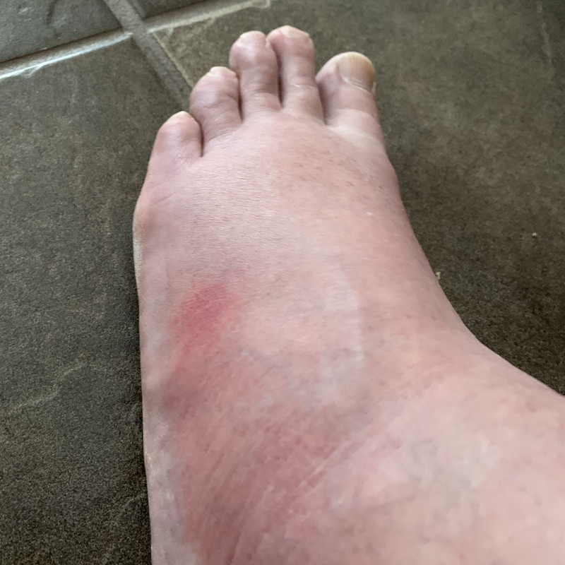 5CE059E4-BD03-44F8-B4EB-BAC4221A90AB